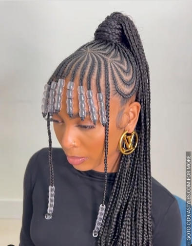30+ Latest Black Braided Hairstyles For Classy and Elegant Looks (1) (3)