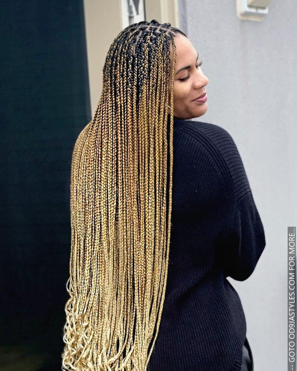 30+ Latest Black Braided Hairstyles For Classy and Elegant Looks (11)