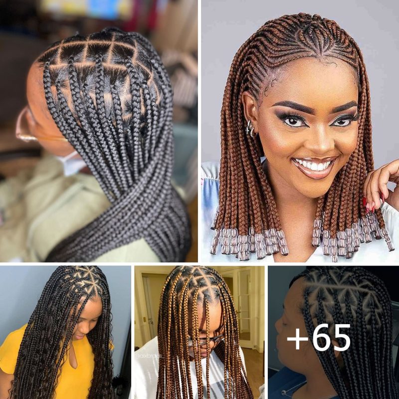 65 Top Knotless Braid Styles for Natural Hair: 2023’s Trending Looks