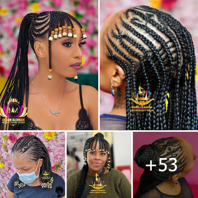 The Beauty and Diversity of Braids and African Hairstyles