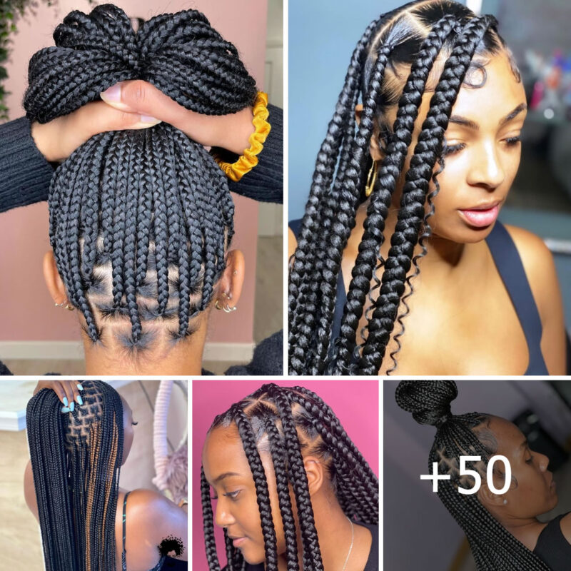 Top 50 Knotless Braids Hairstyles for Your Next Stunning Look