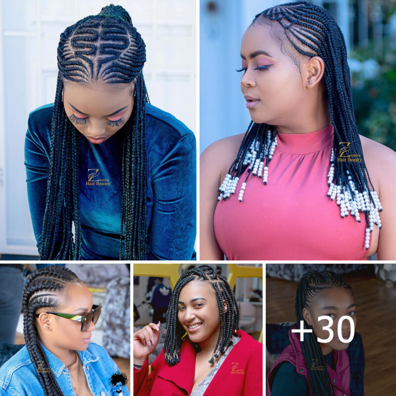 New Braids Hairstyles 2024 for Ladies: Top Great Braids Tutorials for a New Look