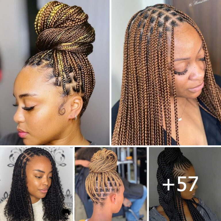 Knotless Braids Hairstyles 2024