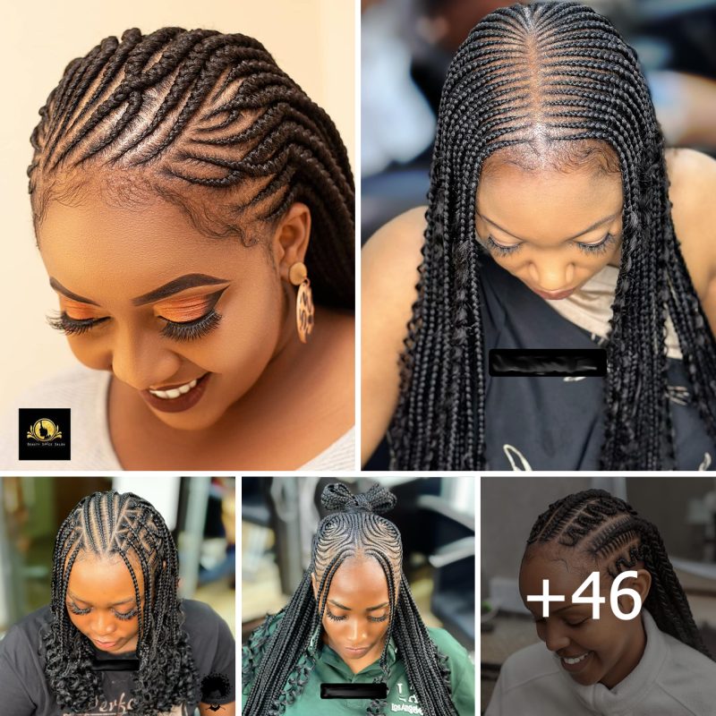 [GALLERY] – 46 Stunning Braided Hairstyles for 2024: A Comprehensive Visual Guide